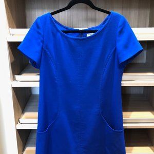Adorable Blue Shift Dress